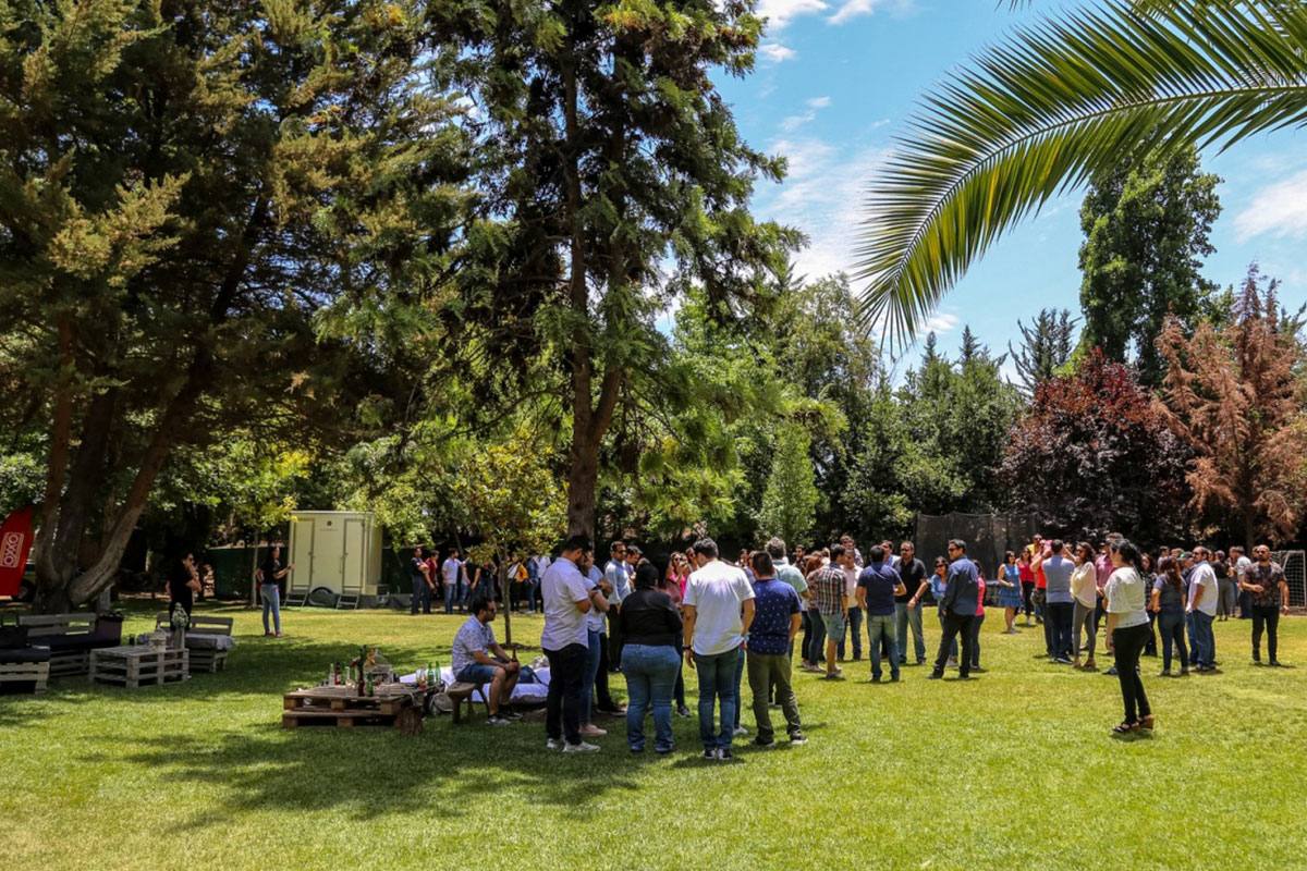 Ayres del Sauzal - foto 7
