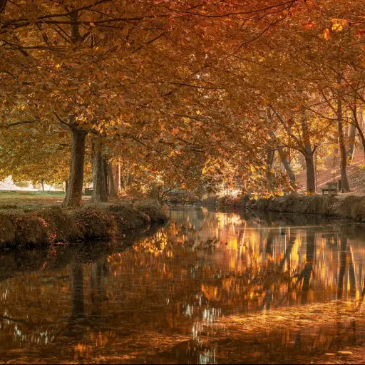 bosque, río, otoño, naturaleza, lago, paisaje, caravaca de la cruz, españa, paisaje, paisaje, paisaje, paisaje, paisaje ,Pixabay