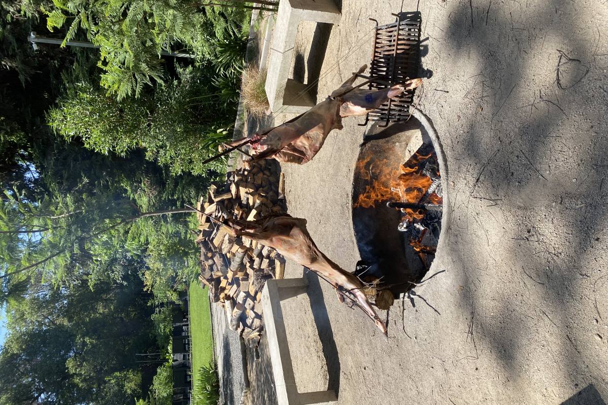 Gran Parcela Para Eventos  - Descanso y Naturaleza a Minutos de Santiago - foto 23