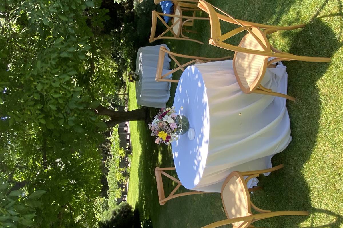 Gran Parcela Para Eventos  - Descanso y Naturaleza a Minutos de Santiago - foto 19