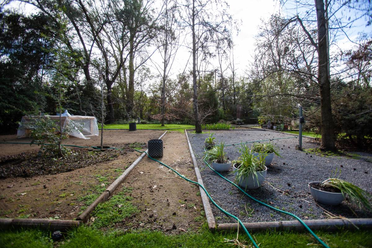 Gran Parcela Para Eventos  - Descanso y Naturaleza a Minutos de Santiago - foto 18