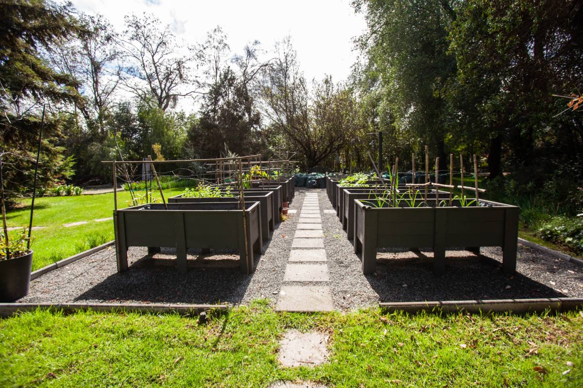 Gran Parcela Para Eventos  - Descanso y Naturaleza a Minutos de Santiago - foto 15