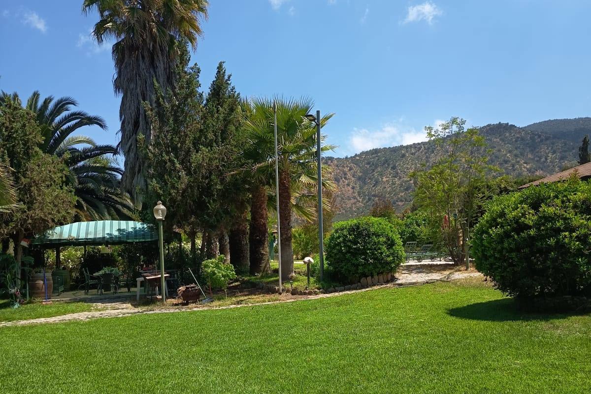 Parcela en Curacaví - Ideal para eventos, reuniones  al aire libre - foto 7