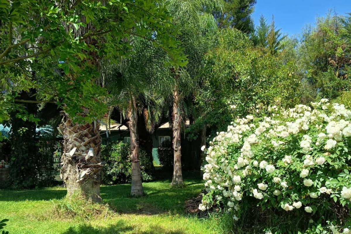 Parcela en Curacaví - Ideal para eventos, reuniones  al aire libre - foto 6