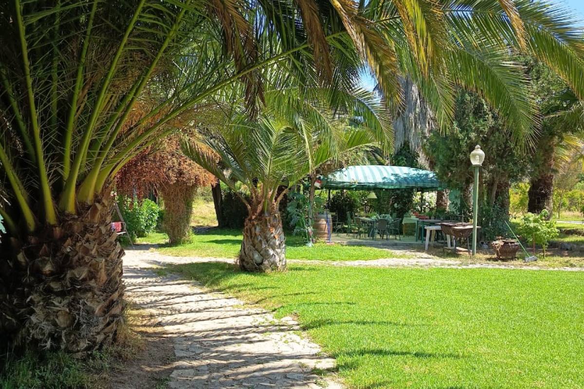 Parcela en Curacaví - Ideal para eventos, reuniones  al aire libre - foto 4